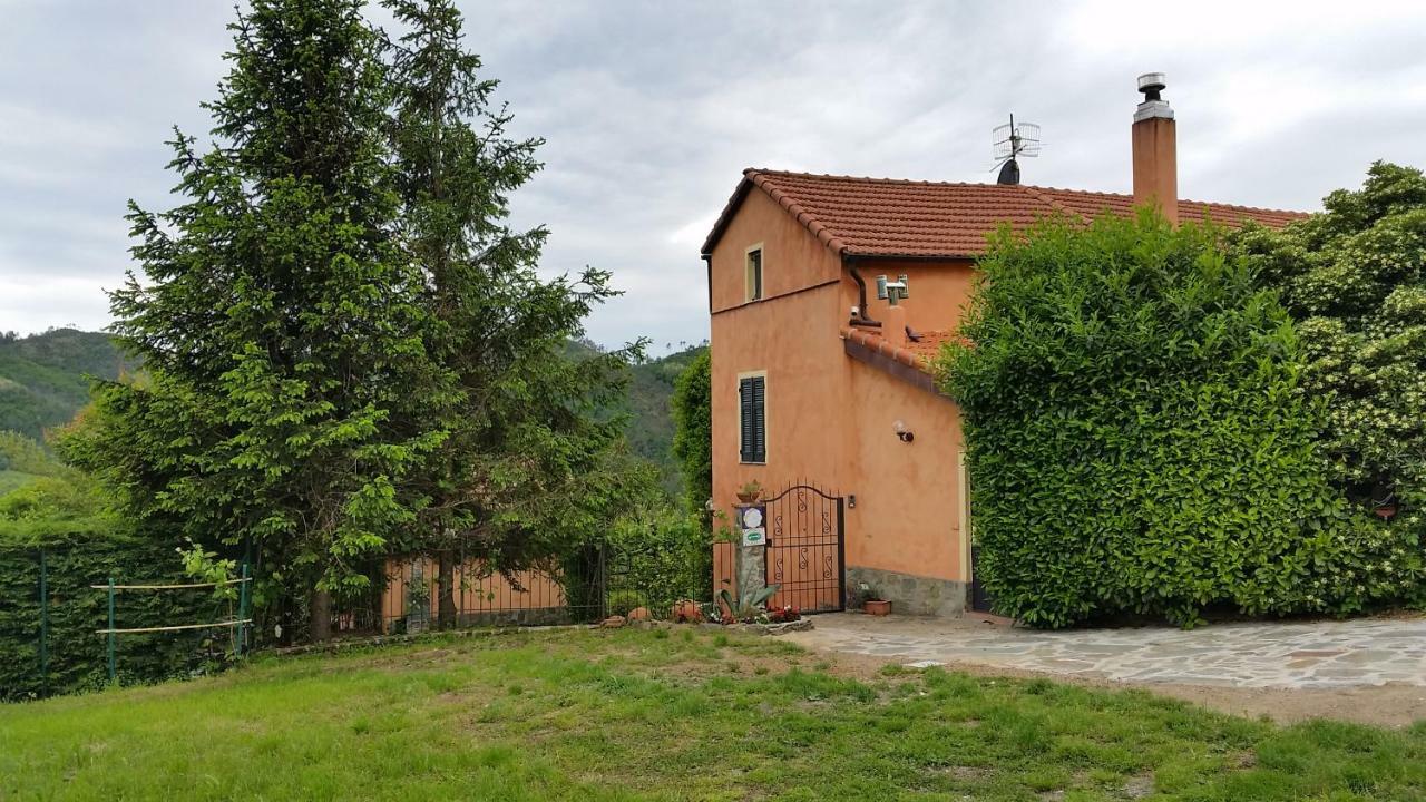 Pin De Stelle Bed & Breakfast San Martino  Eksteriør bilde